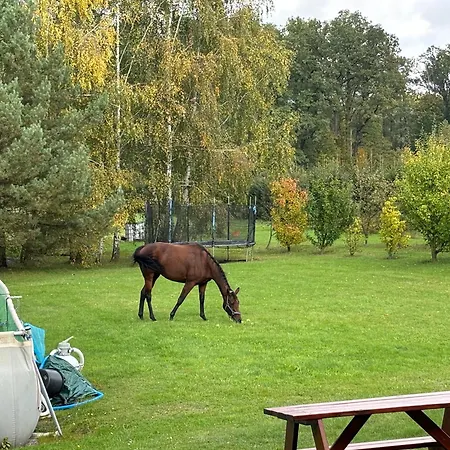 Séjour chez l'habitant Natura - Dolina Baryczy *